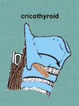 The Larynx in Singing
