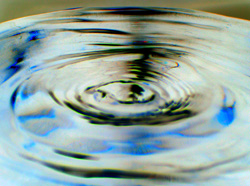 The Voice - Sound Waves of the voice
